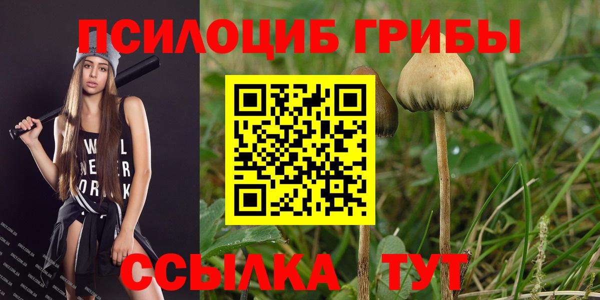 Псилоцибиновые грибы прущие грибы Холмск