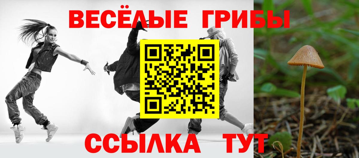 Псилоцибиновые грибы мицелий  даркнет сайт  Холмск  Вход с VPN 